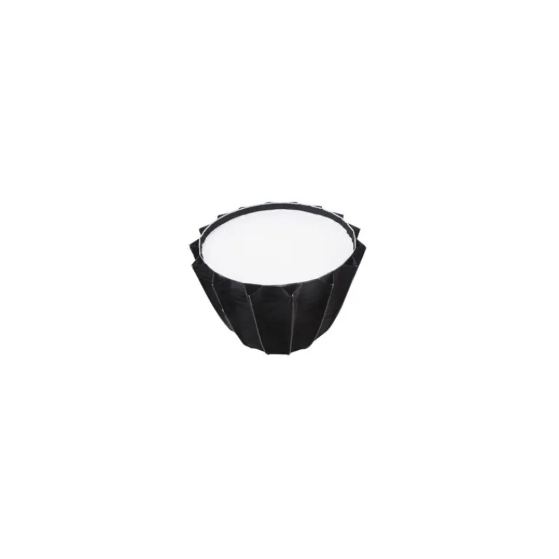 APUTURE Light Dome II