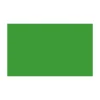 BD FOND STUDIO PAPIER 1.36X11M VERI GREEN 132A2