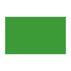 BD FOND STUDIO PAPIER 1.36X11M VERI GREEN 132A2