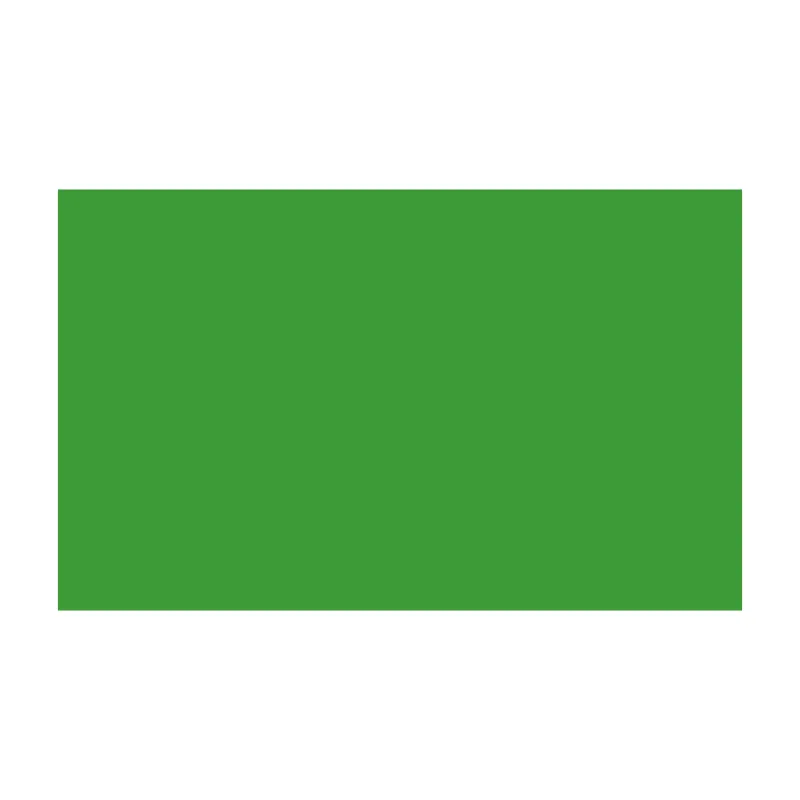 BD FOND STUDIO PAPIER 2,72X11M VERI GREEN 132A1