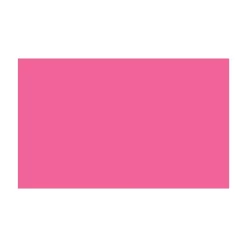 BD FOND STUDIO PAPIER 1.36X11M HOT PINK 163A2