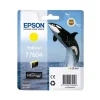 Epson ENCRE T7604 ORQUE JAUNE / P600