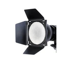 GODOX KIT COUPE FLUX NOIR + FILTRES + GRILLE NID - Panajou