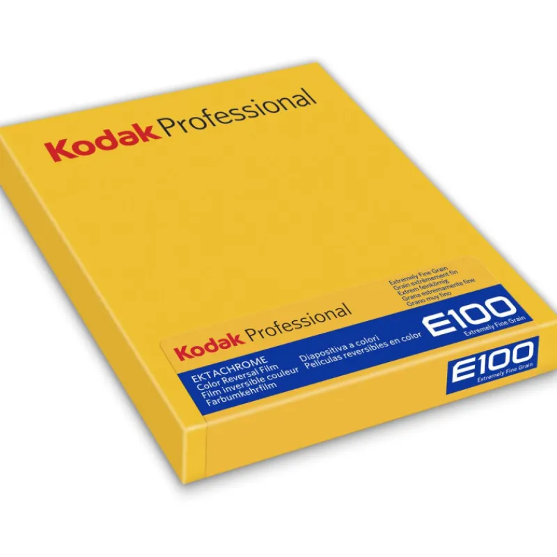 Kodak Ektachrome E100 4x5 10 Ex