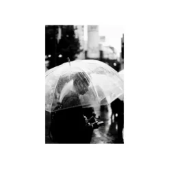 Lomography Earl Grey film noir et blanc 100-3X36p