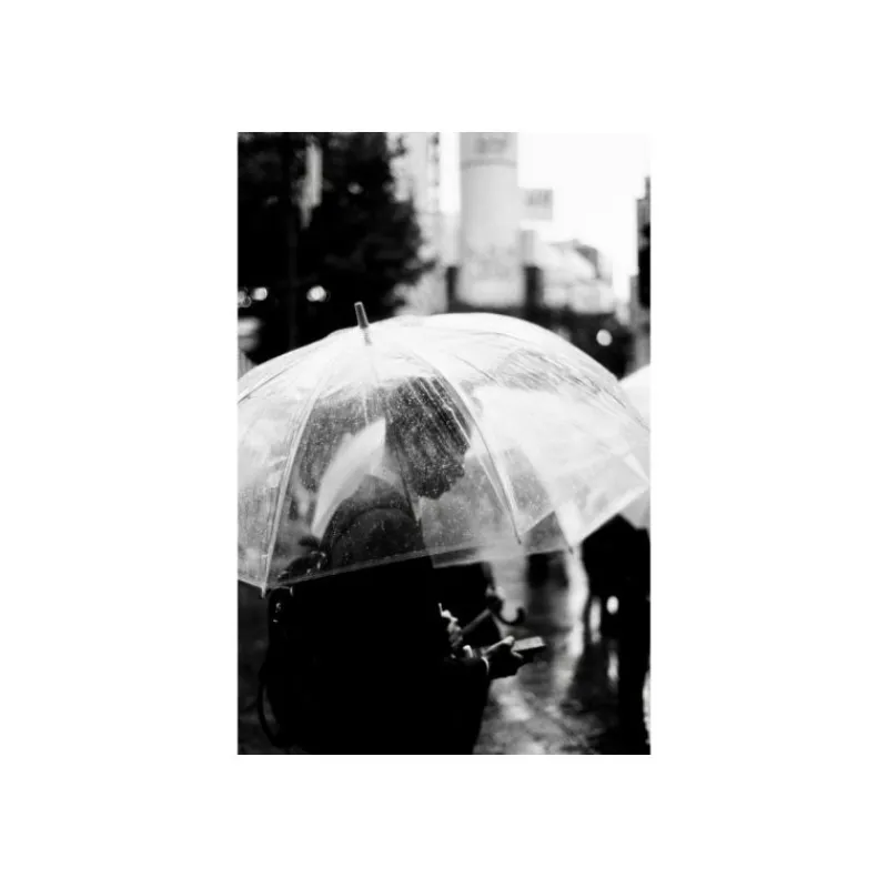 Lomography Earl Grey film noir et blanc 100-3X36p