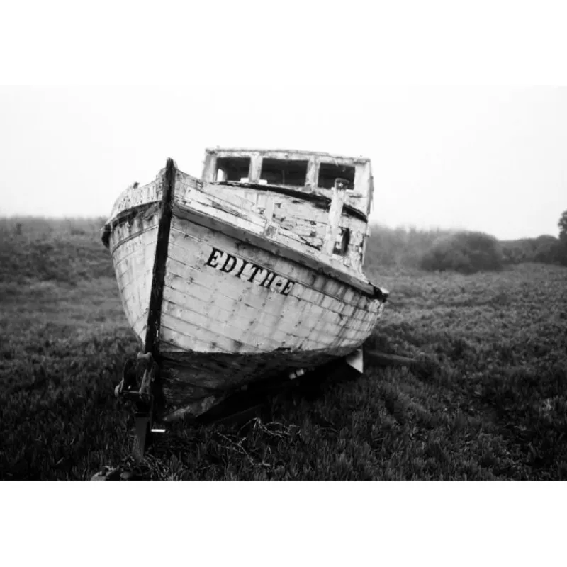 Lomography Earl Grey film noir et blanc 100-3X36p