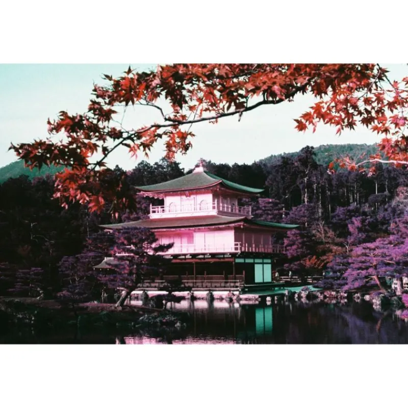 Lomography LomoChrome Purple 2021 Pétillant 35 mm ISO 100–400 36 poses