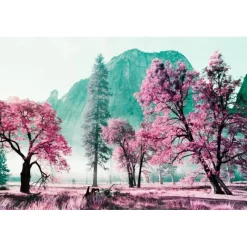 Lomography LomoChrome Purple 2021 Pétillant 35 mm ISO 100–400 36 poses