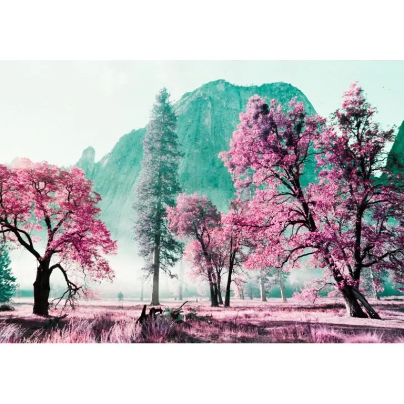 Lomography LomoChrome Purple 2021 Pétillant 35 mm ISO 100–400 36 poses