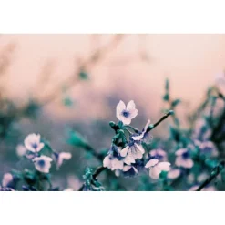 Lomography LomoChrome2021 Turquoise 35 mm ISO 100–400 36 poses