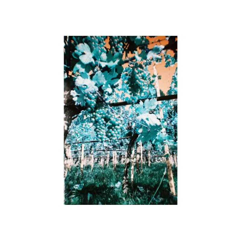 Lomography Simple Use Camera 400/27 Turquoise