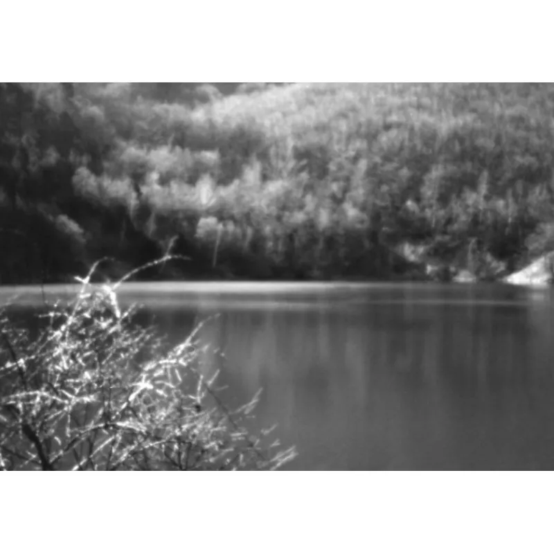 Lomography noir et blanc ISO 8/35MM FANTOME KINO FILM36 poses