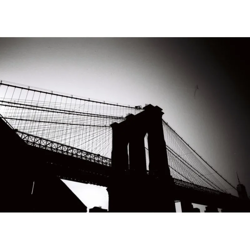 Lomography noir et blanc ISO 8/35MM FANTOME KINO FILM36 poses