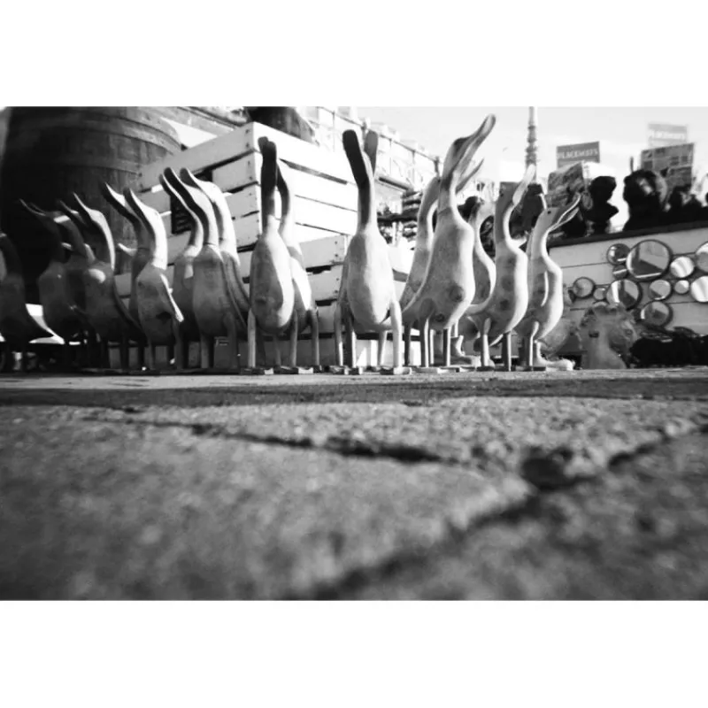 Lomography Simple Use Camera 400/27 noir et blanc