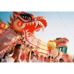 Lomography Simple Use Camera 400/36 Color