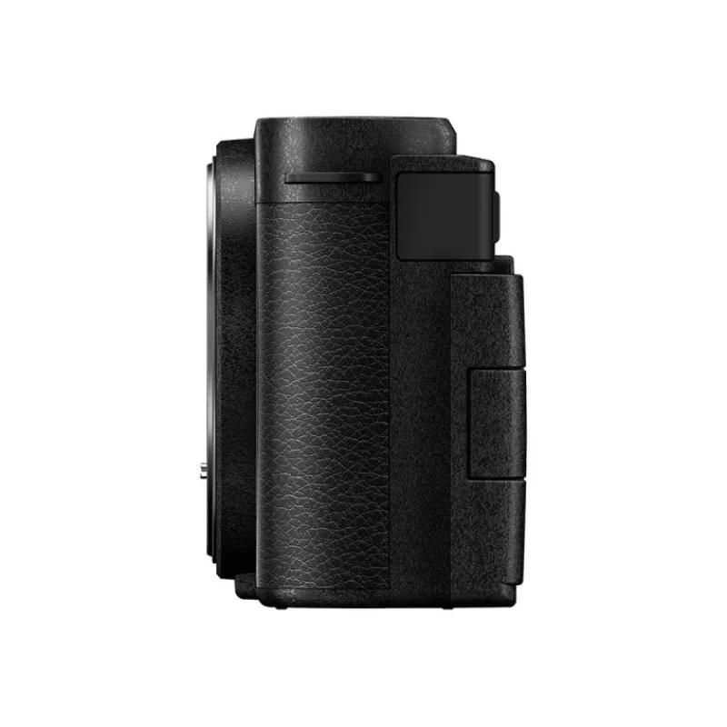 Panasonic LUMIX S9 noir + 20-60 mm : Appareil photo compact 24,2 MP avec stabilisation et REAL TIME LUT