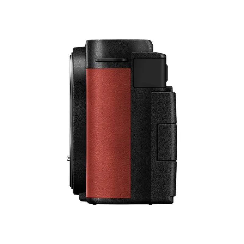 Panasonic LUMIX S9 rouge + 20-60 mm : Appareil photo compact 24,2 MP avec stabilisation et REAL TIME LUT