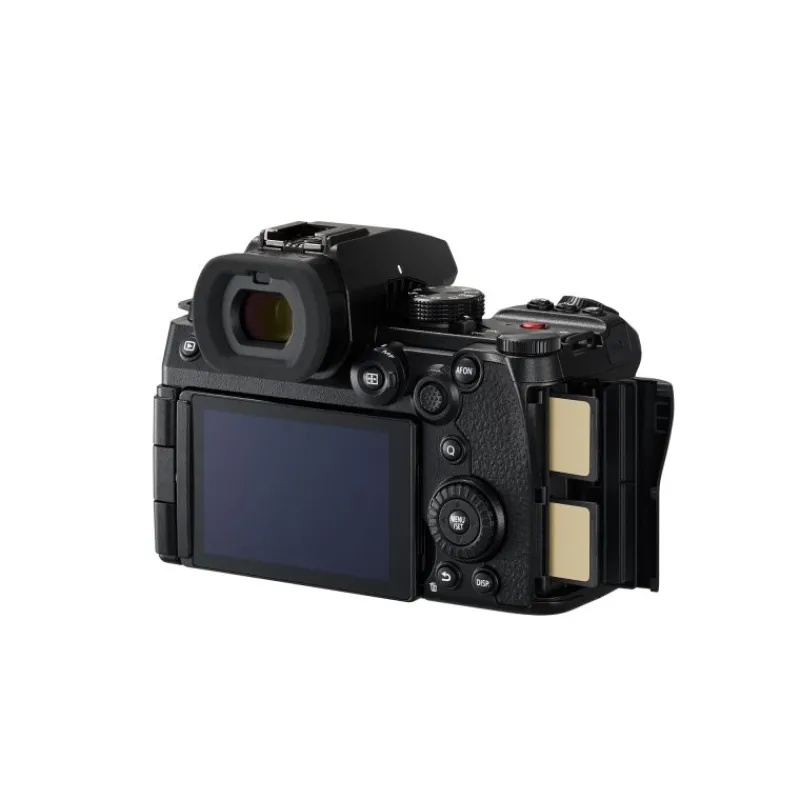 Panasonic lumixDC-S5II