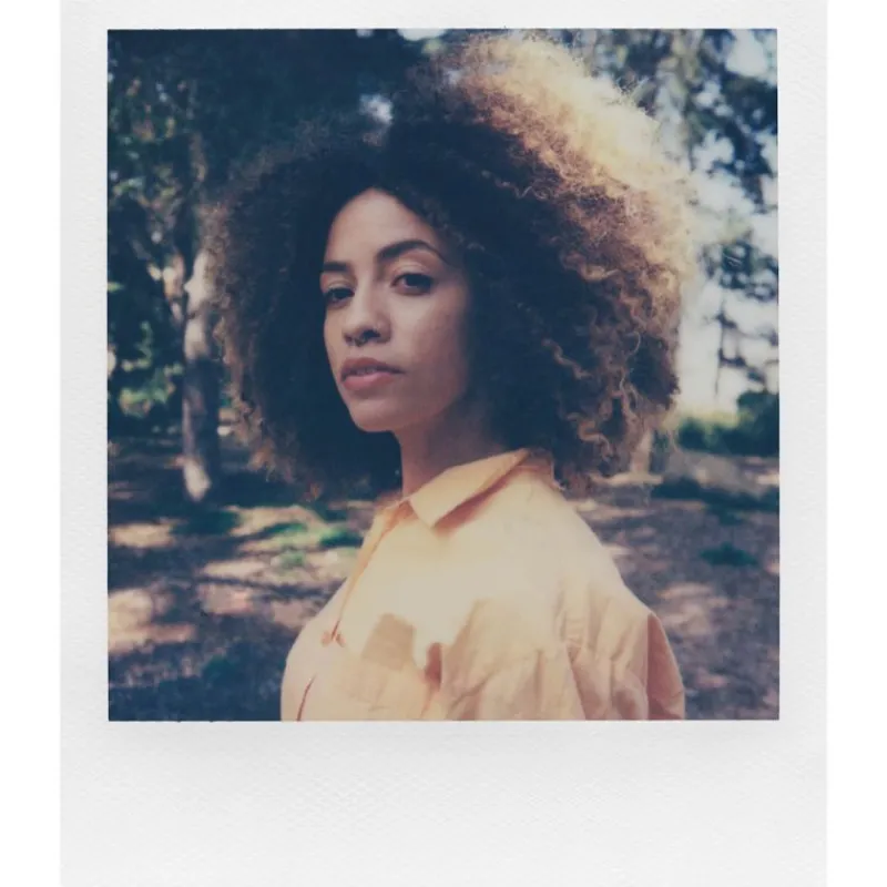 Polaroïd Polaroid I-2