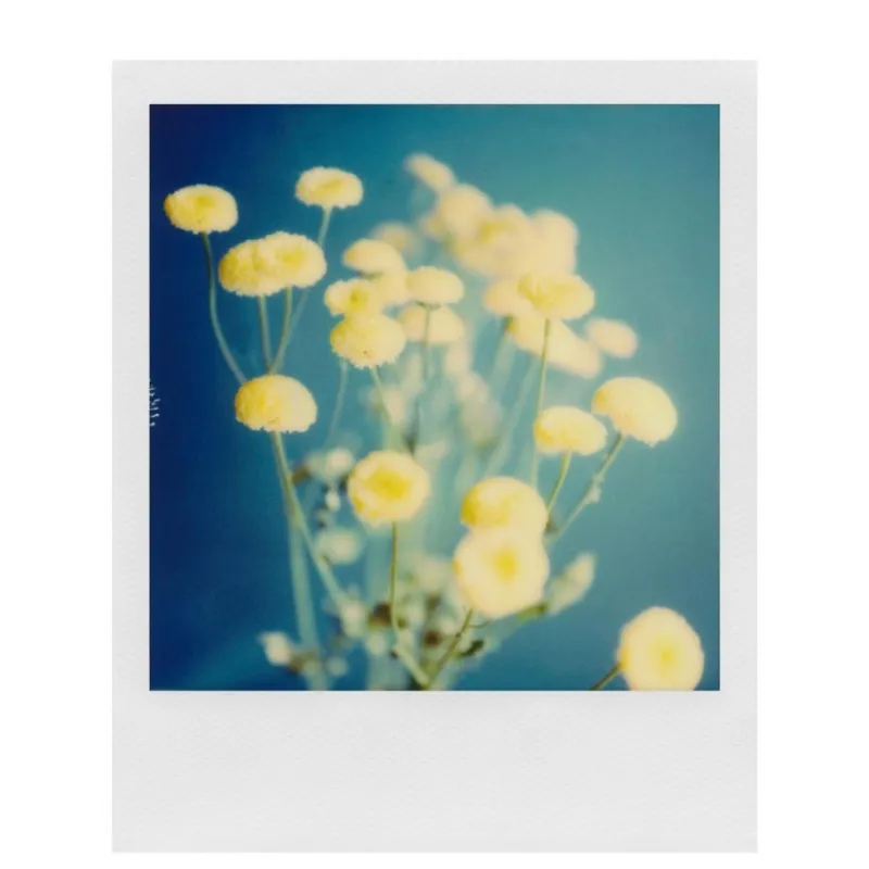 Polaroïd POLAROID SX-70 FILM COULEUR - Panajou