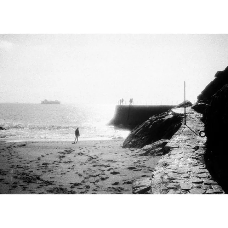 Washi F" - Film Noir et Blanc pour Photographie Créative - Format 135